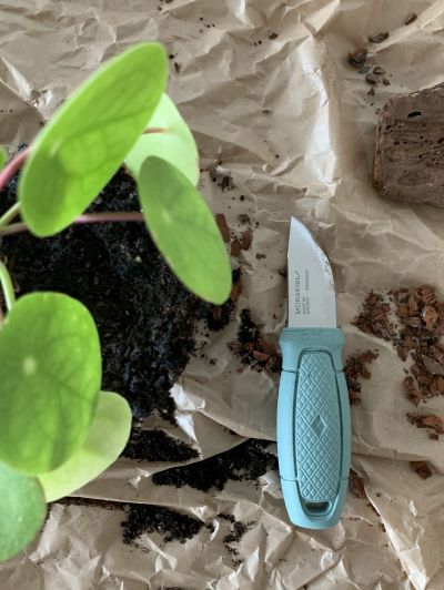 Cutit Morakniv Eldris LIght,  MINT GREEN