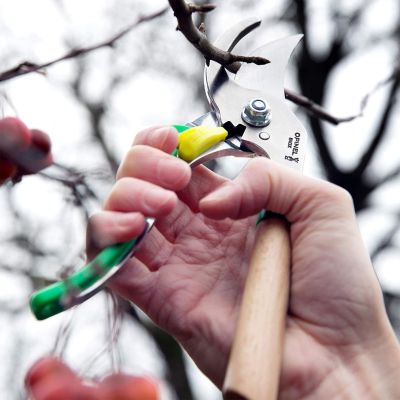 Foarfeca de gradinarit, otel inoxidabil, Verde - Opinel