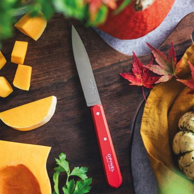 Cutit pentru decojit N°112, inox, 10cm, "Les Essentiels", Red - Opinel