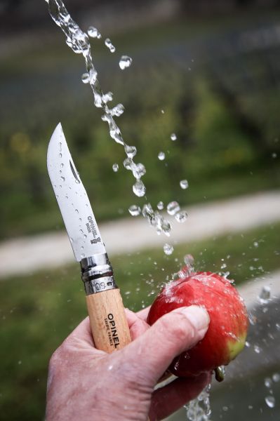 Cutit de buzunar N°09, inox, 9cm, "Tradition Inox" - Opinel