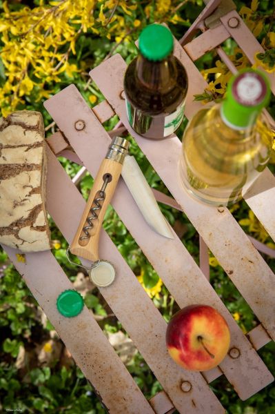 Cutit cu tirbuson N°10, inox, 10cm - Opinel