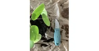 Cutit Morakniv Eldris LIght, MINT GREEN Cutit Morakniv Eldris LIght, MINT GREEN
