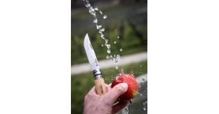 Cutit de buzunar N°09, inox, 9cm, "Tradition Inox" - Opinel