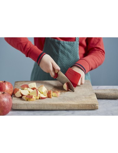 Cutitul bucatarului, inox, 10cm, "Le...