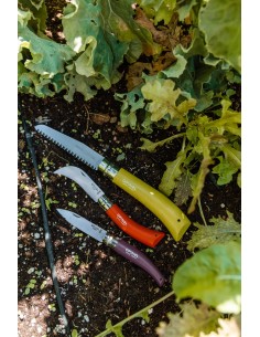 Set 3 cutite de gradinarit,... 2