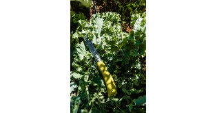 Set 3 cutite de gradinarit, inox - Opinel