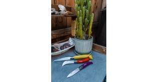 Set 3 cutite de gradinarit, inox - Opinel