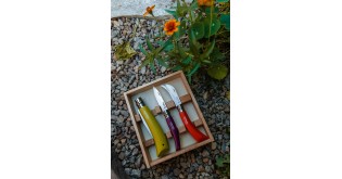 Set 3 cutite de gradinarit, inox - Opinel