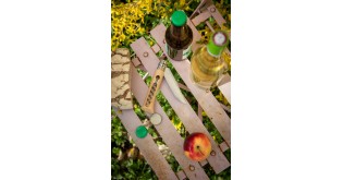 Cutit cu tirbuson N°10, inox, 10cm - Opinel
