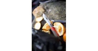 Cutit de buzunar cu fluier N°08, inox, 8,5 cm, "Outdoor", Red - Opinel