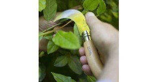 Cutit pentru gradinarit N°10, inox, 10cm - Opinel