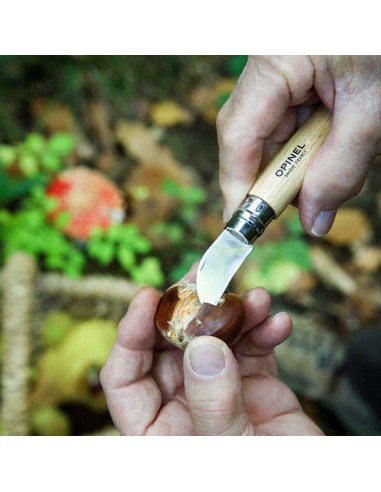 Cutit de buzunar N°07, inox, 4cm,...