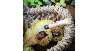 Cutit de buzunar N°07, inox, 4cm, "Nomad Cooking" - Opinel
