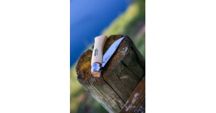 Cutit de buzunar N°10, inox, 10cm, blister, "Tradition Inox" - Opinel