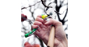 Foarfeca de gradinarit, otel inoxidabil, Verde - Opinel