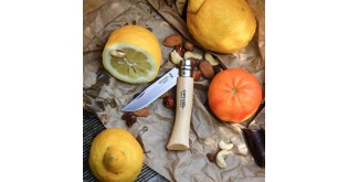 Cutit de buzunar N°07, inox, 8cm, "Tradition Inox" - Opinel