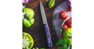 Cutit cu lama serata N°113, inox, 10cm, "Les Essentiels", Purple - Opinel