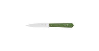Cutit cu lama serata N°113, inox, 10cm, "Les Essentiels", Green - Opinel