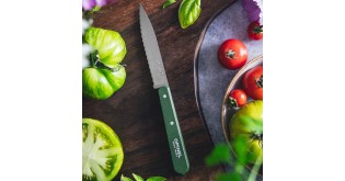 Cutit cu lama serata N°113, inox, 10cm, "Les Essentiels", Green - Opinel