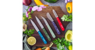 Decojitor N°115, inox, 6 cm, "Les Essentiels", Red - Opinel